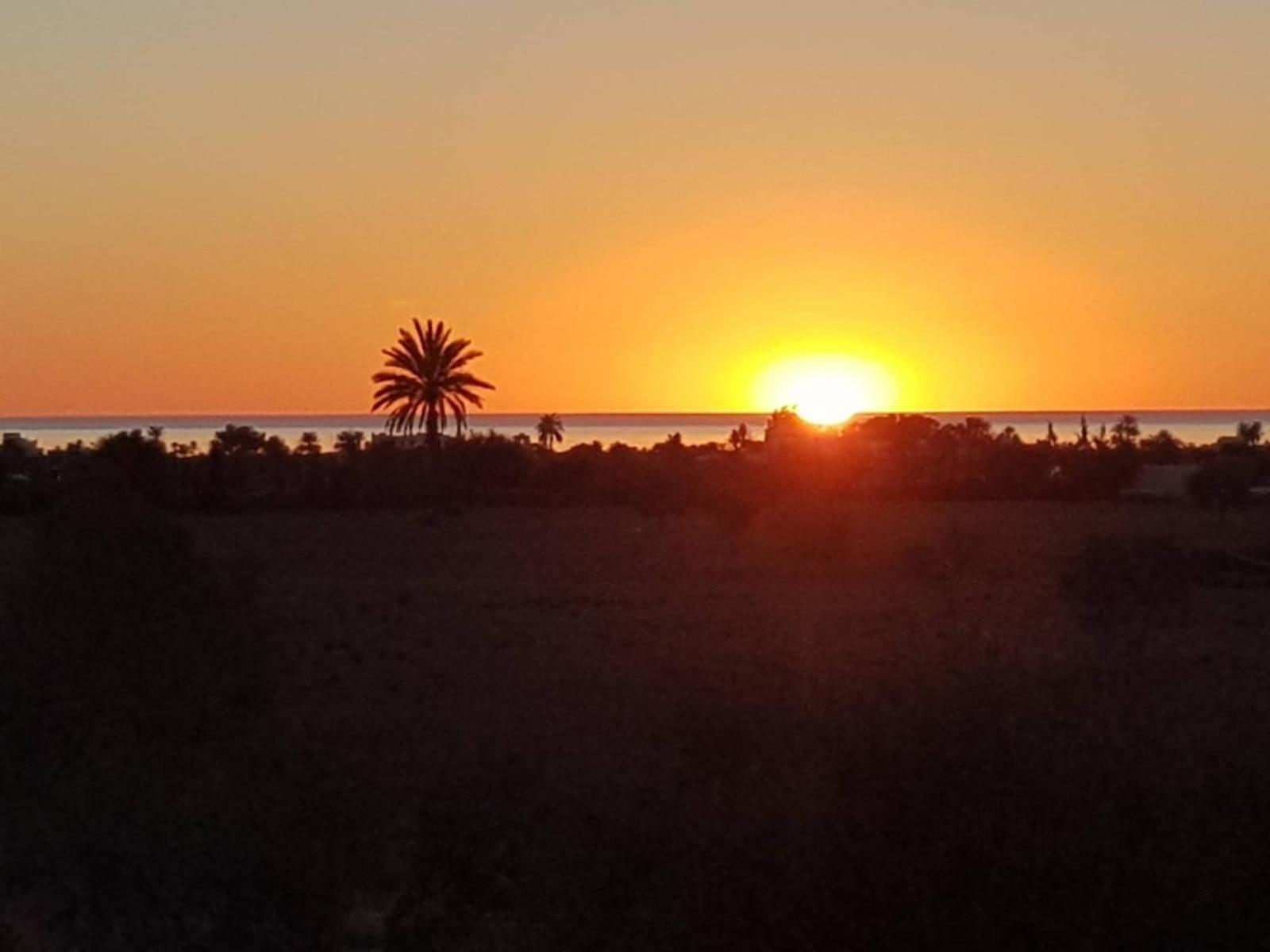 Au Soleil De Meziana * Mellita (Djerba)